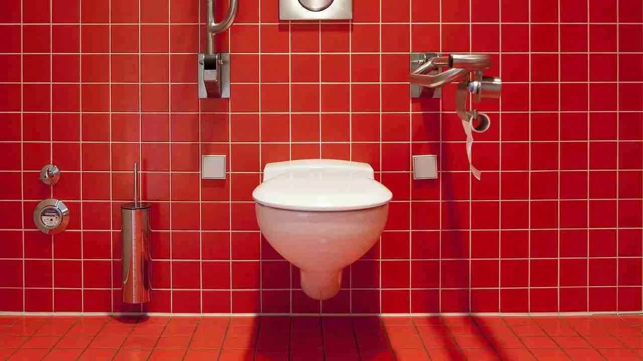 wc, toilet, public toilet