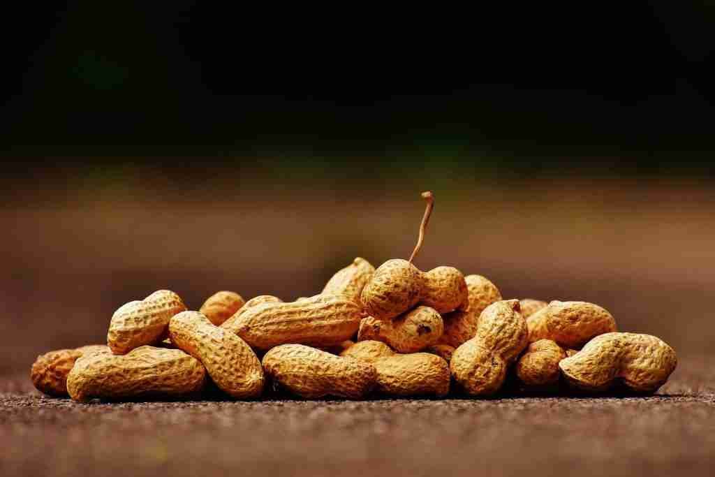 Selective Focus of Shelled Peanuts