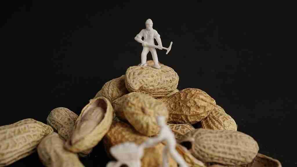 miner mini figure on top of a pile of brown peanuts