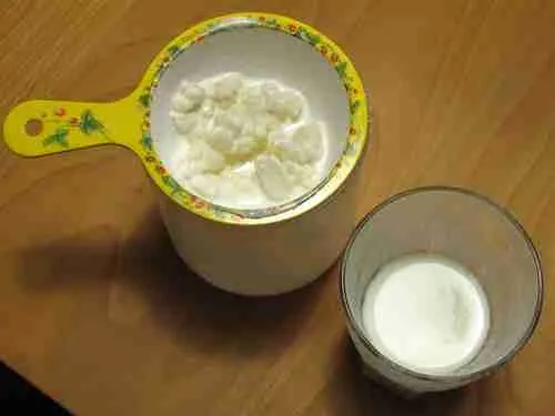 Kefir