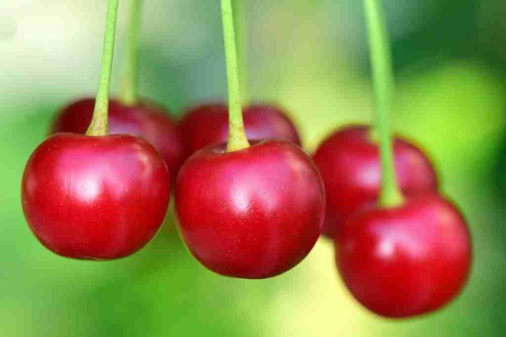 cherries, fruit, food