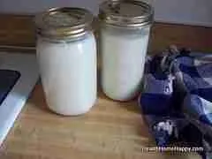 Kefir