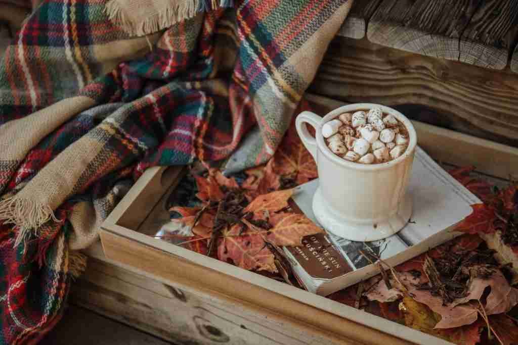 Hot Cocoa mug on book with Marshmallow 