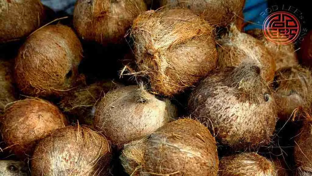 Coconut peel