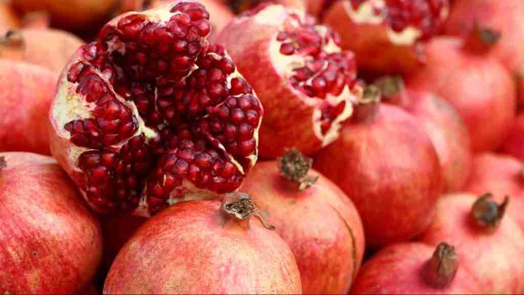 red fruit in macro shot