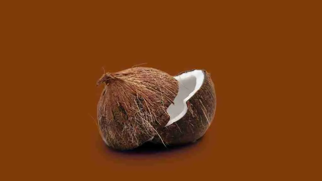 Coconut