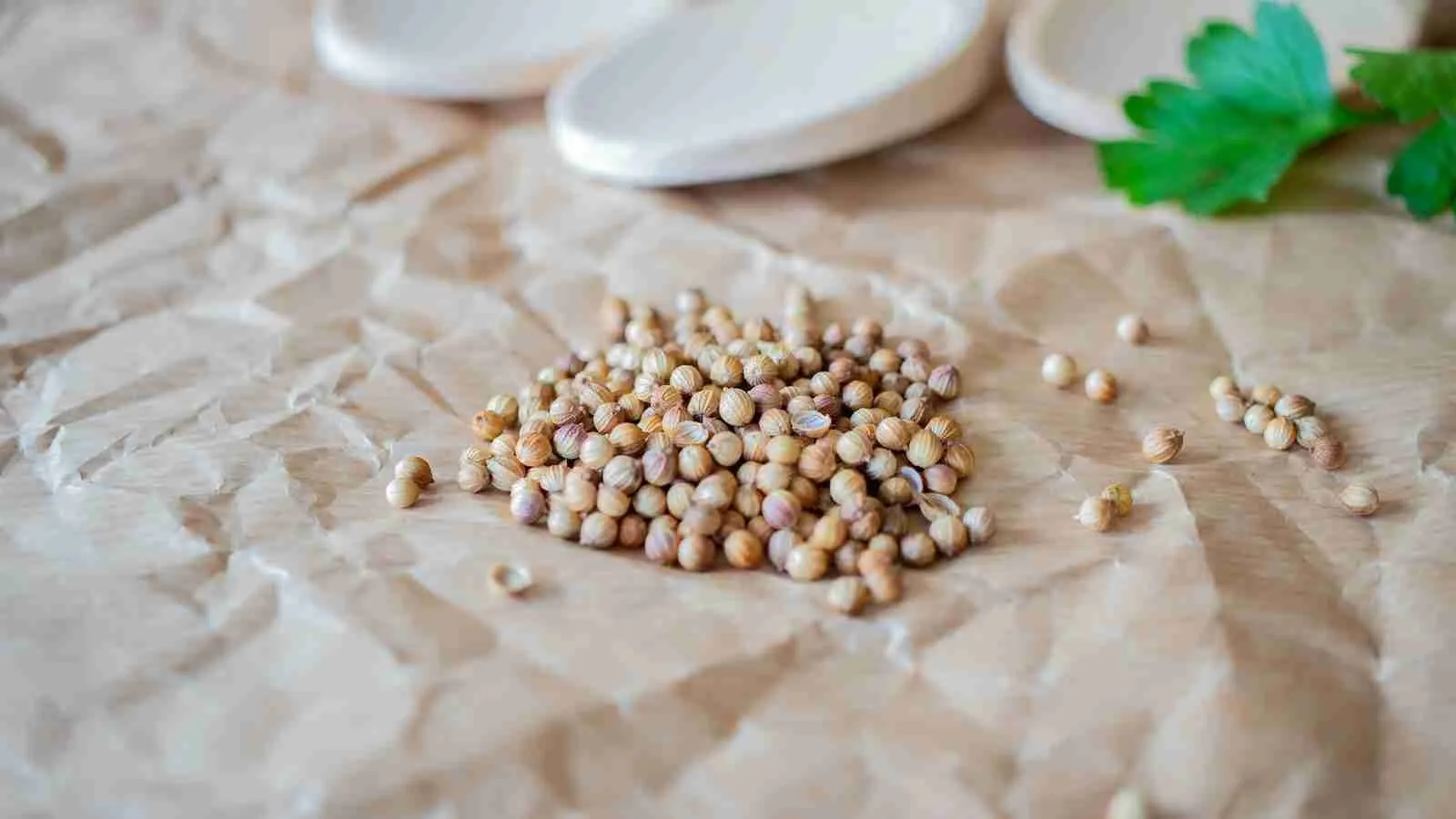soya beans on white ceramic plate