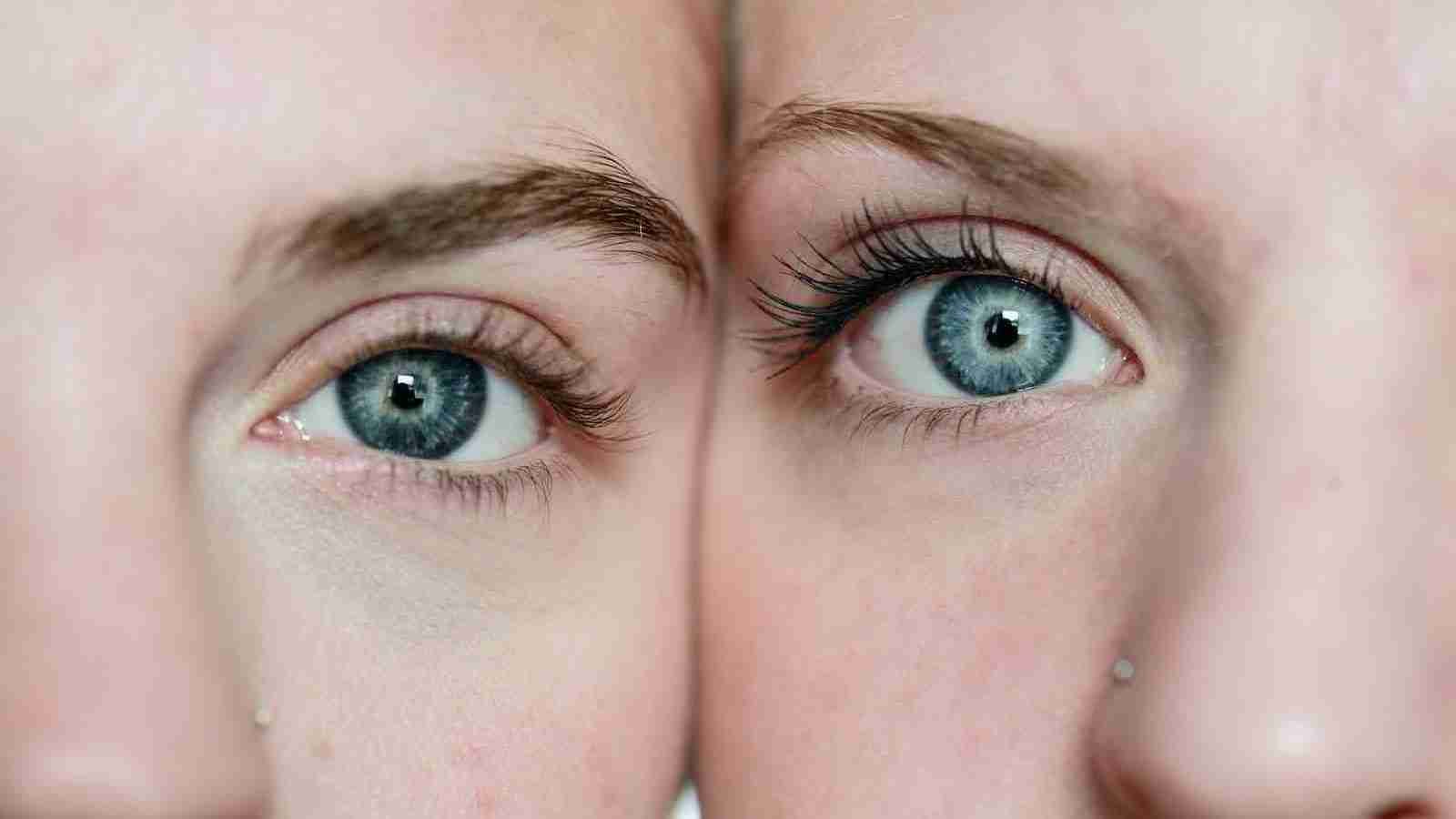 photo of women faces 