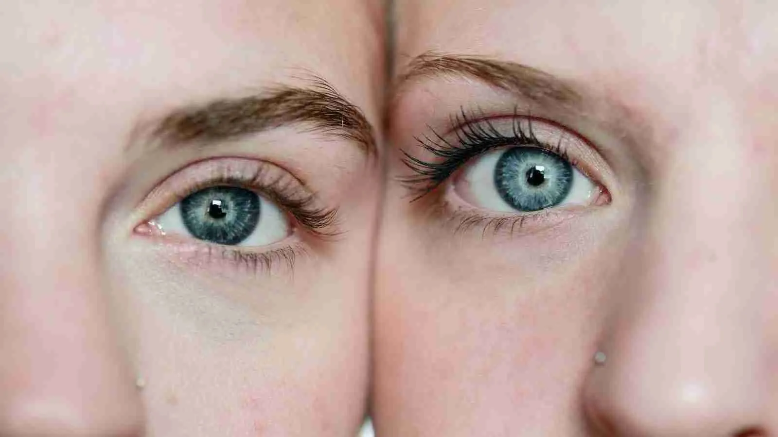 photo of women faces 