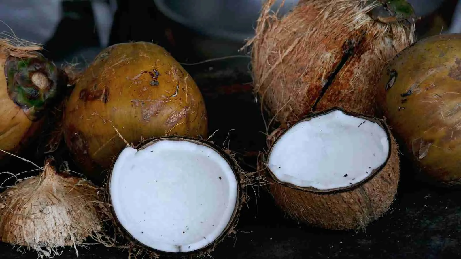 Coconut opened