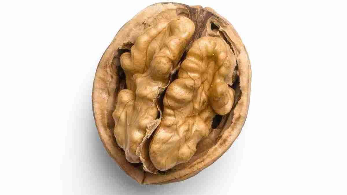 a whole walnut on a white background