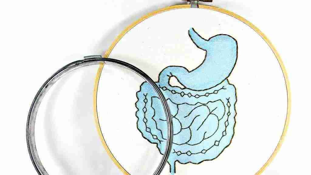 Digestive system of human body