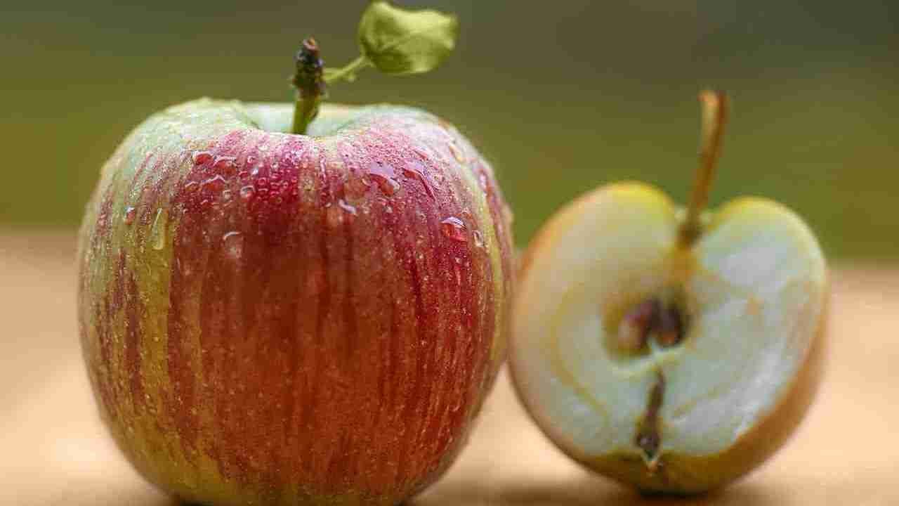 Apple placed with a sliced apple