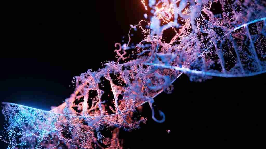 A model of human DNA