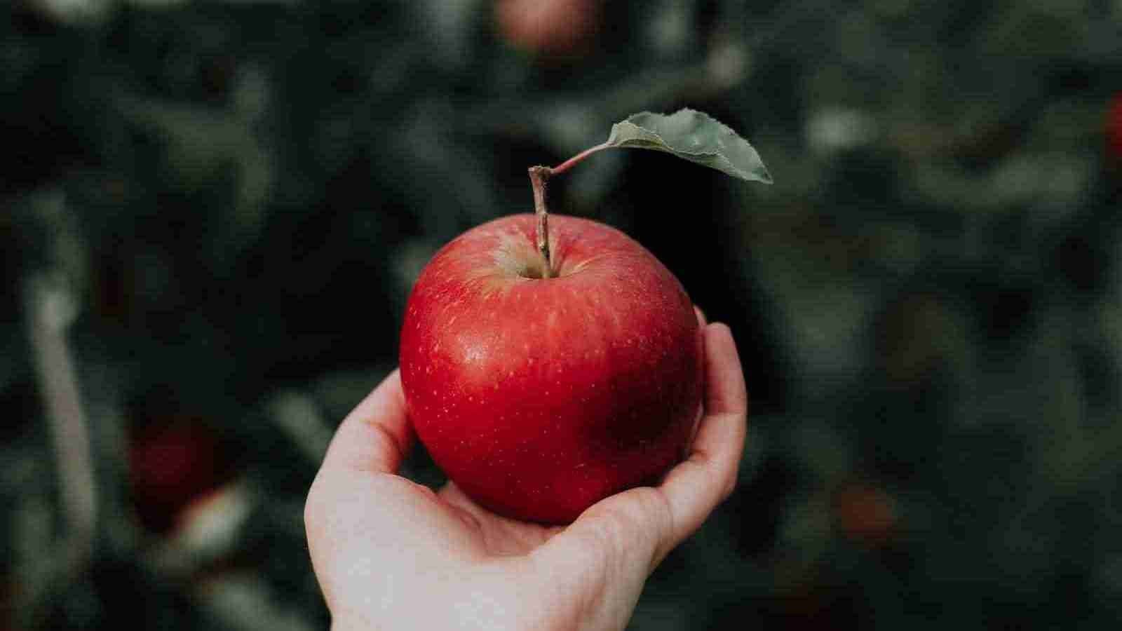 one red apple