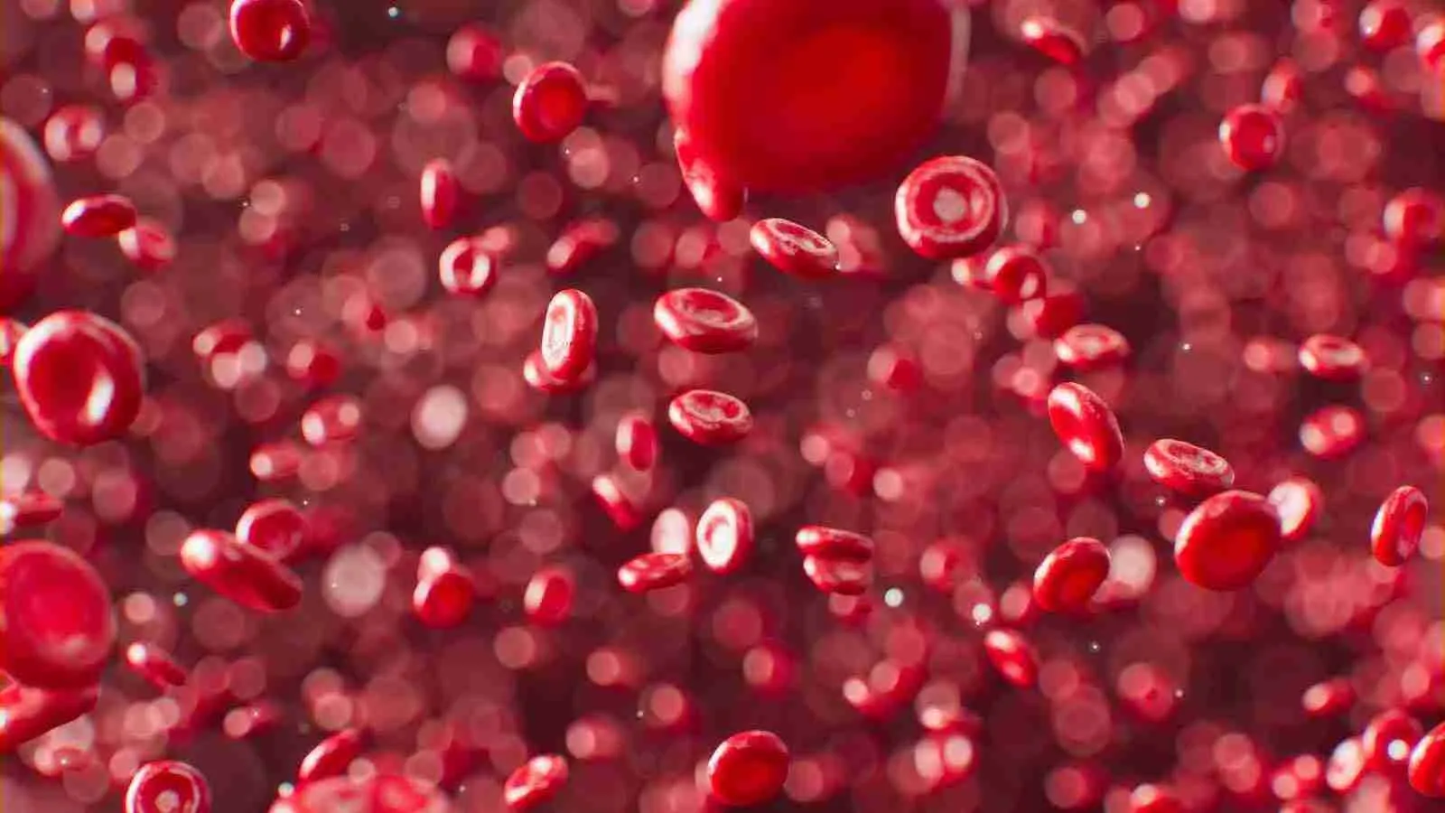 An illustration of red blood cells