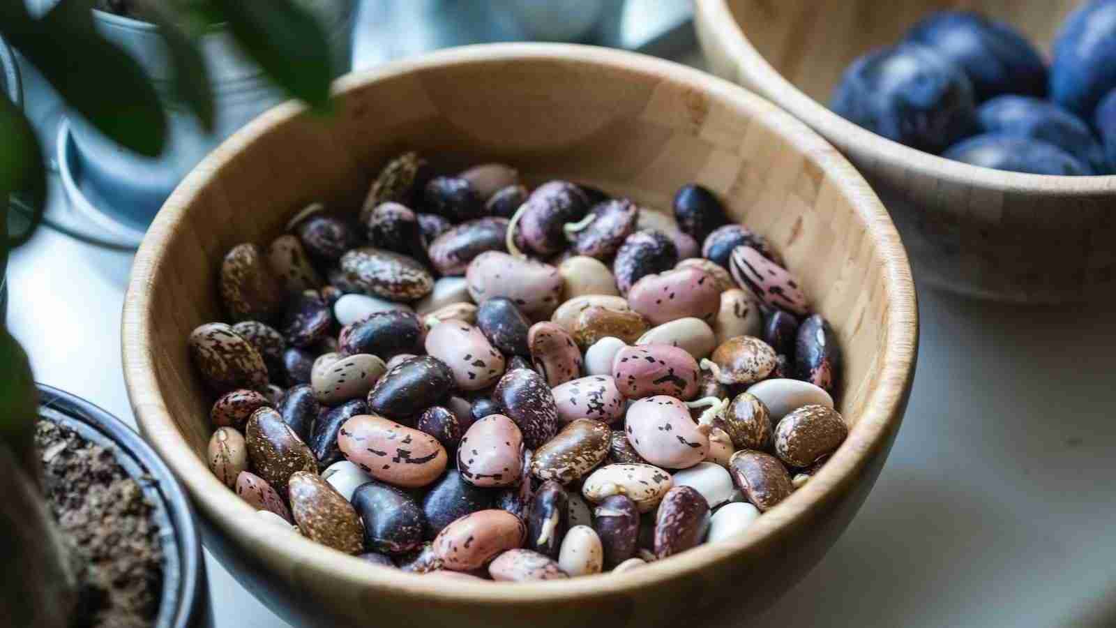 assorted beans
