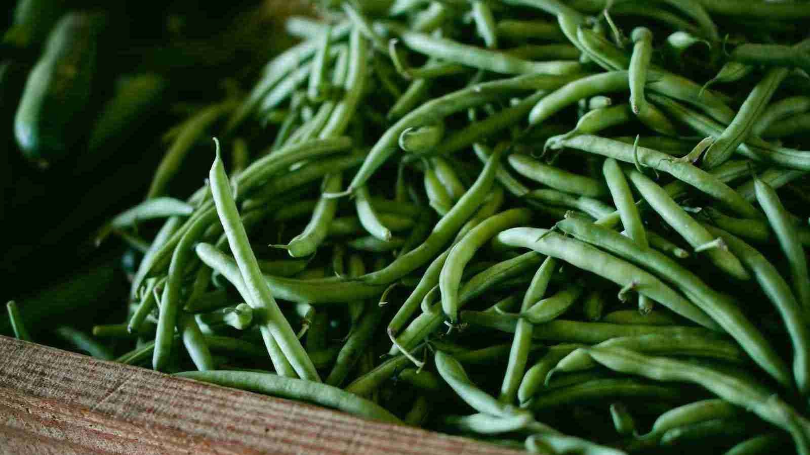focus photography of green string beans