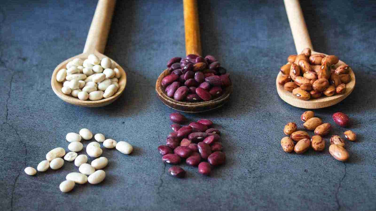 brown wooden spoon with red and brown beans