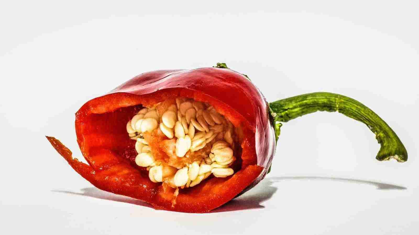 red bell pepper