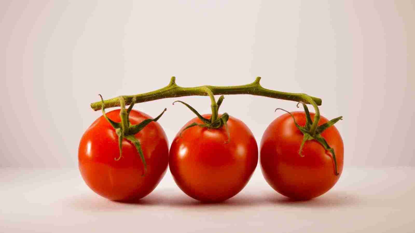 three tomatoes
