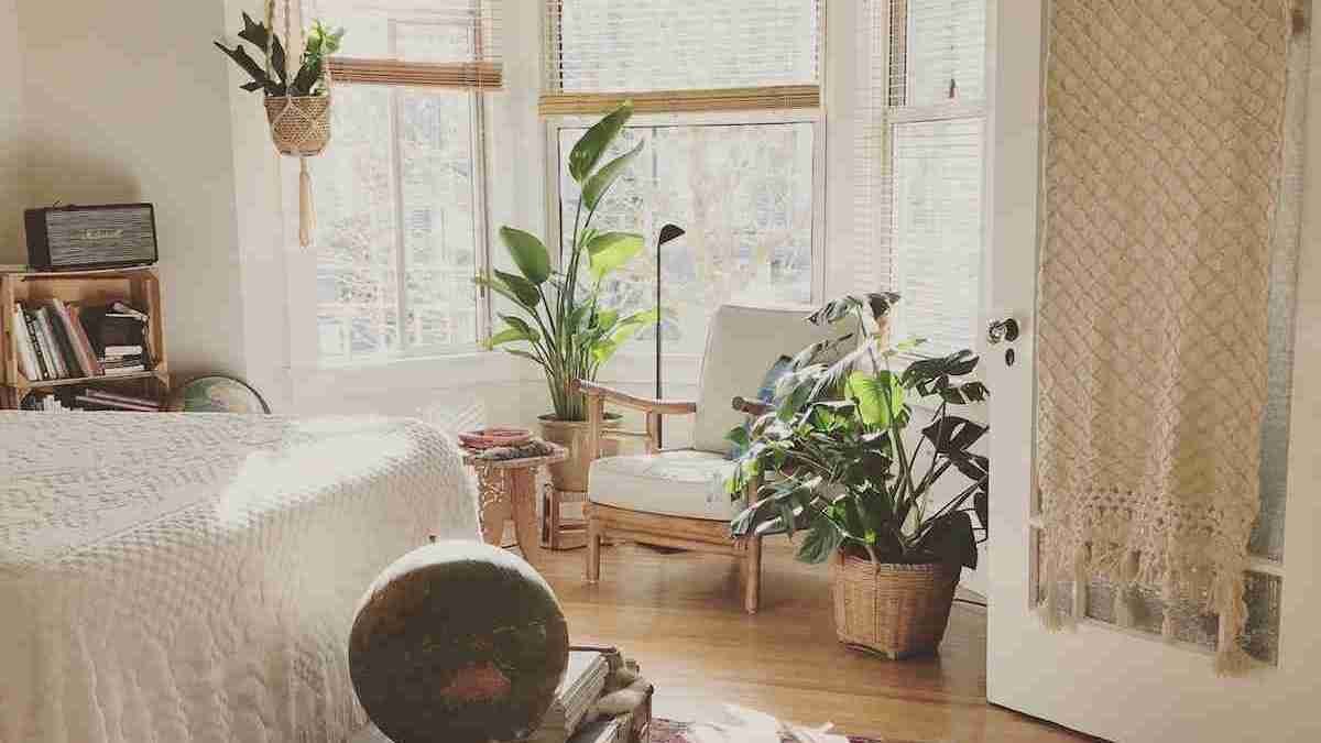 brown wooden framed white padded chair in between green indoor leaf plants inside bedroom